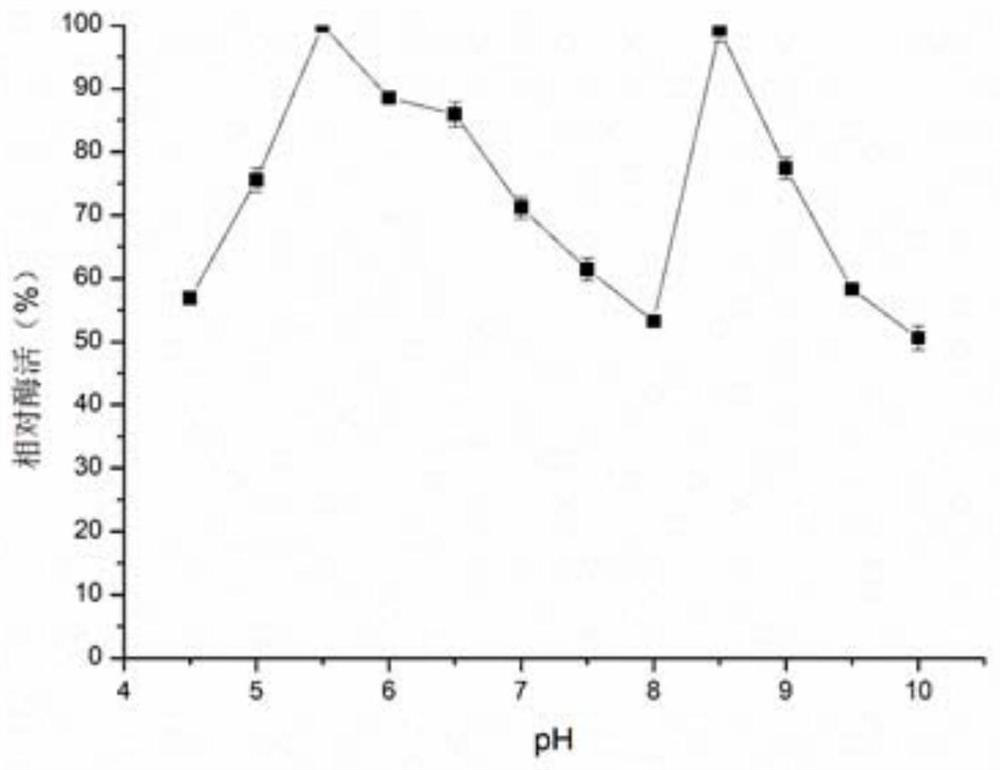 Starch pullulanase with wide pH value adaptability and application