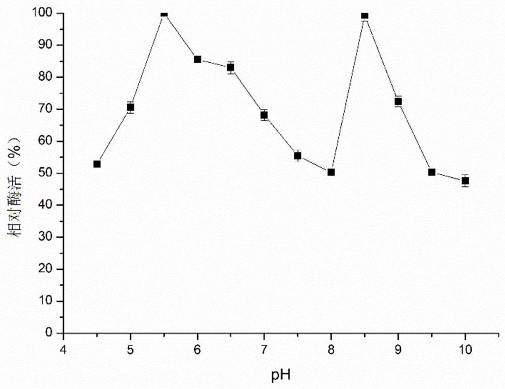 Starch pullulanase with wide pH value adaptability and application