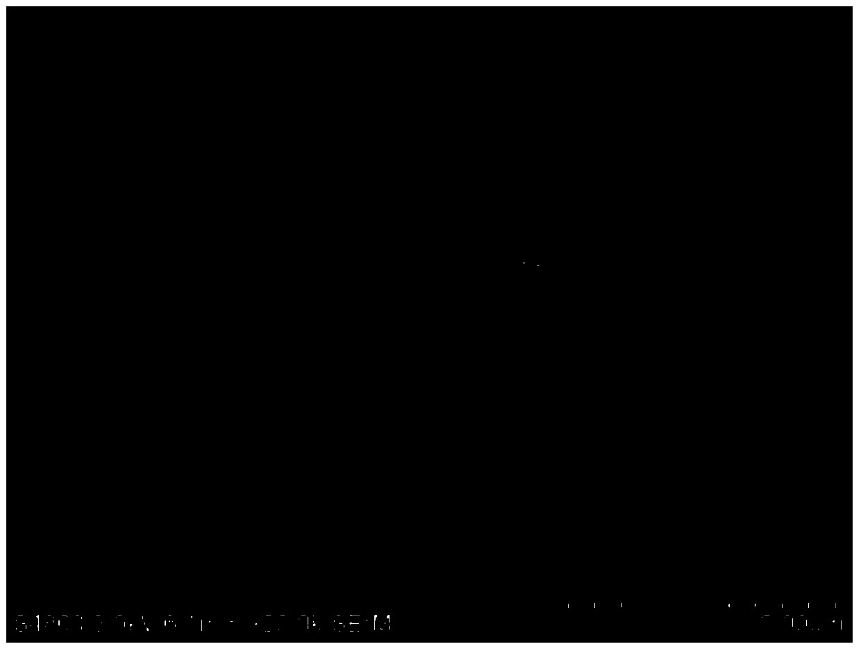 Flaky nanometer molybdenum disulfide material, nanometer composite metal anticorrosive coating material and preparation method of flaky nanometer molybdenum disulfide material and nanometer composite metal anticorrosive coating material