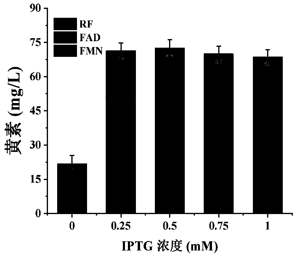 Recombinant shewanella algae capable of producing riboflavin and application of recombinant shewanella algae in electricity production