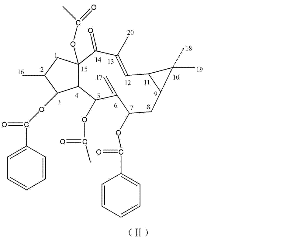 Euphorbia lathyris large ring diterpenoid compound and application thereof