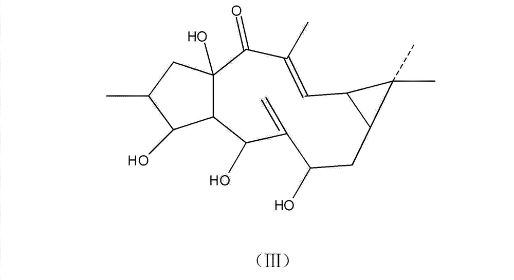 Euphorbia lathyris large ring diterpenoid compound and application thereof