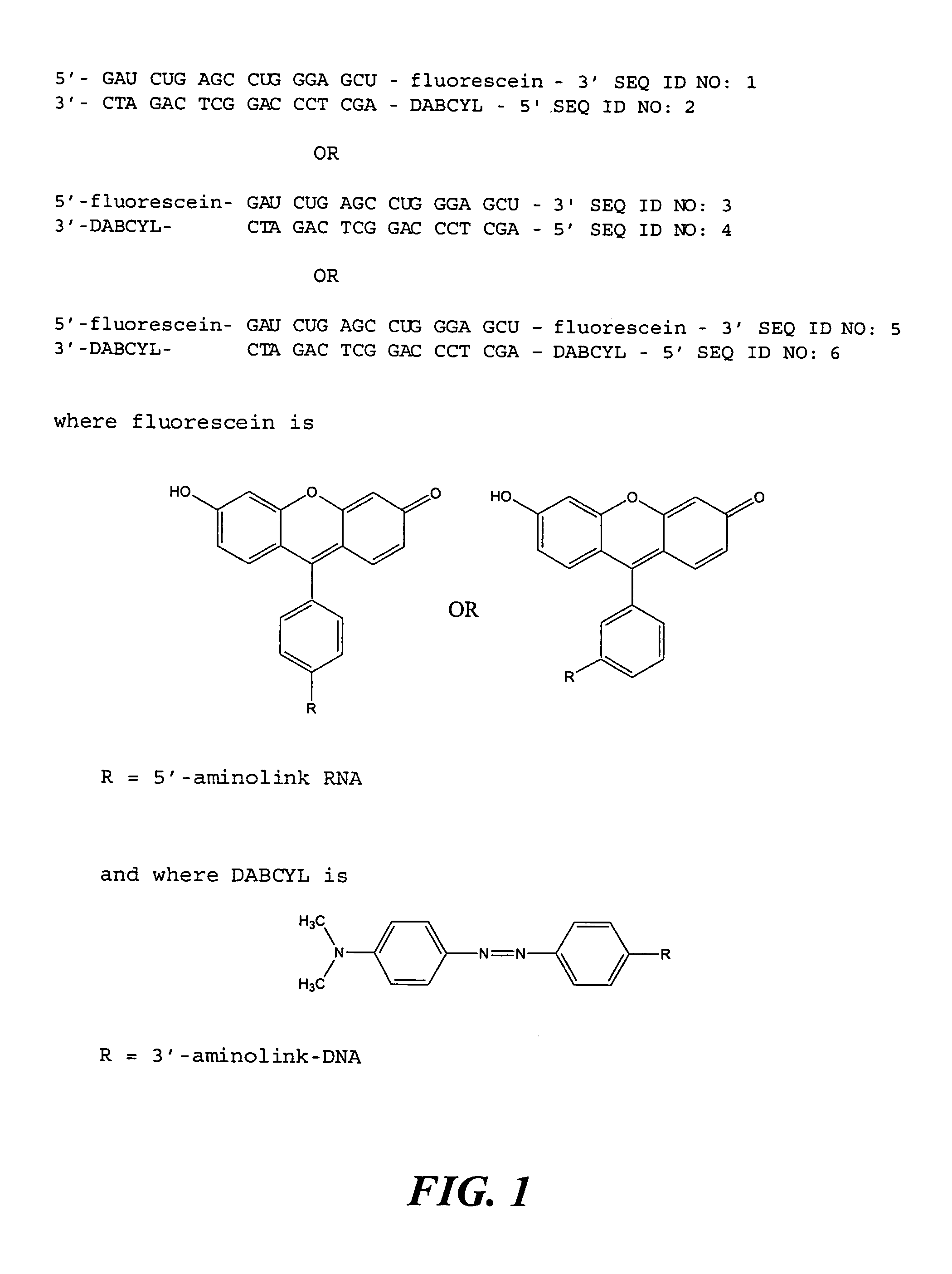 Method of identifying or characterizing a compound that modulates ribonuclease H activity