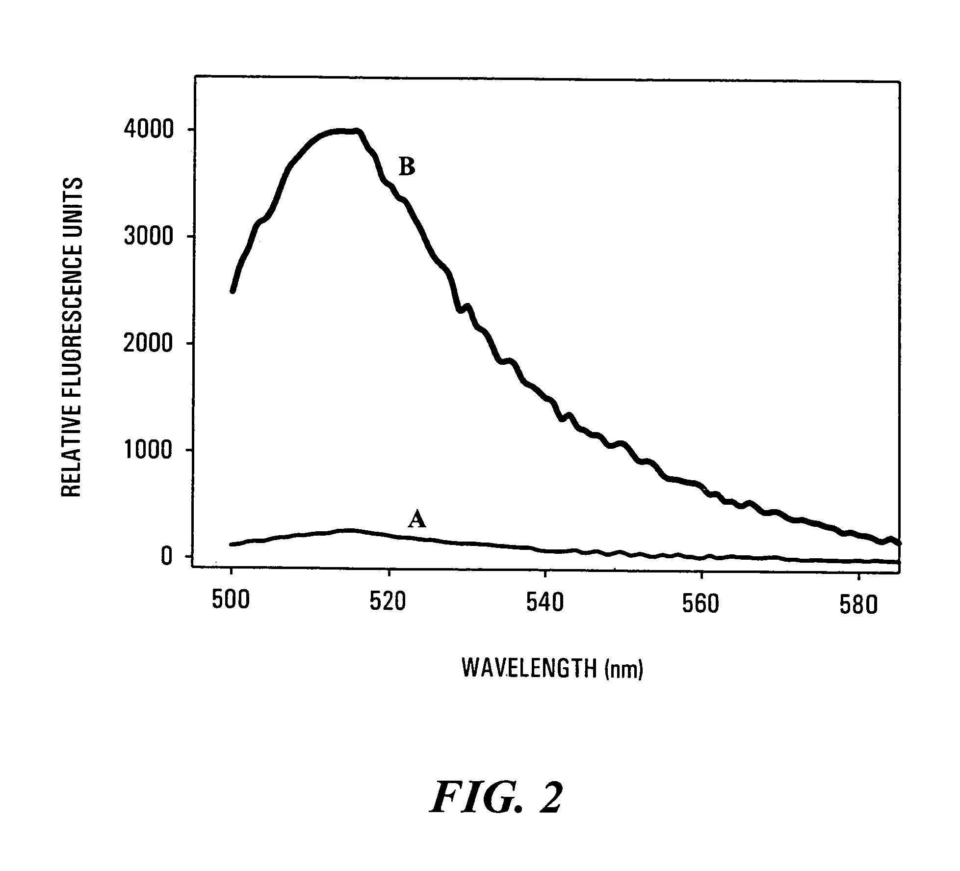 Method of identifying or characterizing a compound that modulates ribonuclease H activity