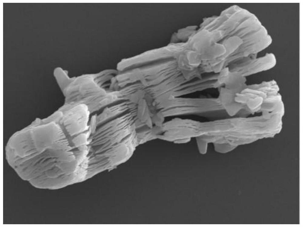 Rare earth oxide nano-particle doped Mxene material for space charged particle radiation protection, composite coating and preparation method