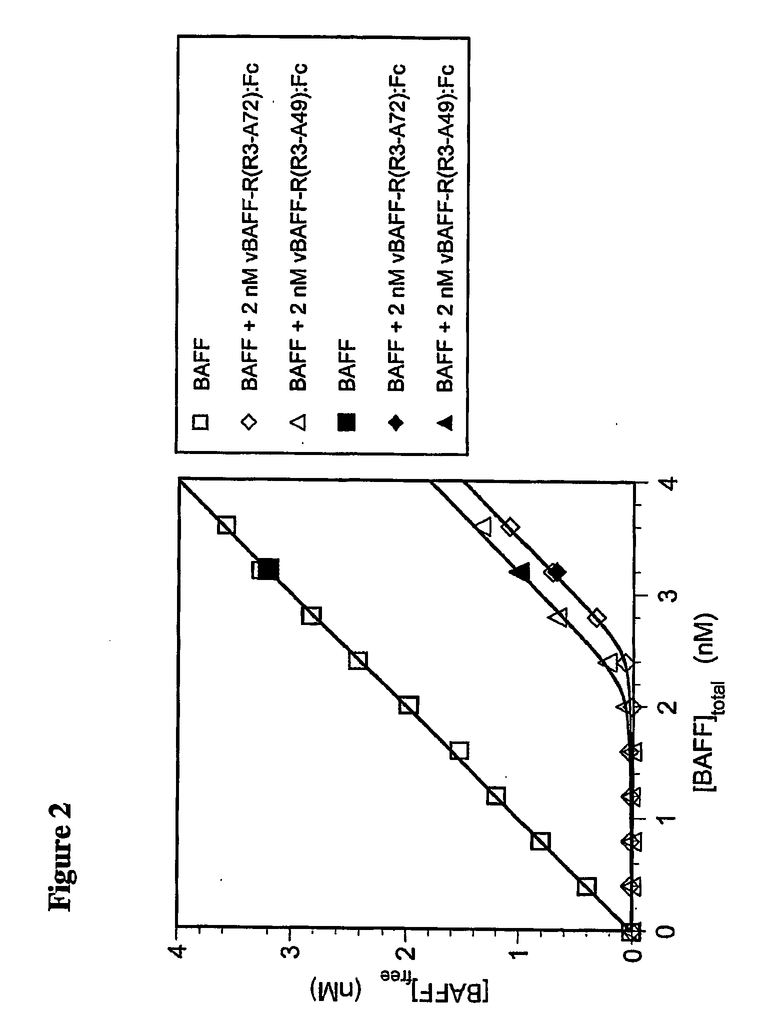 Truncated baff receptors