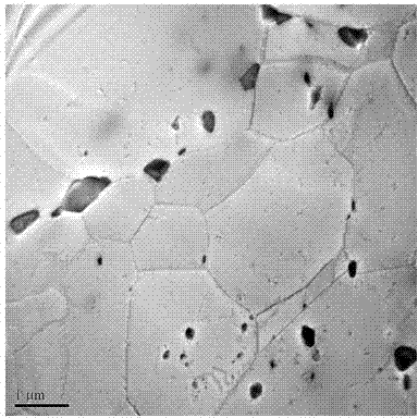 T91-steel ageing ranking method based on transmission electron microscope