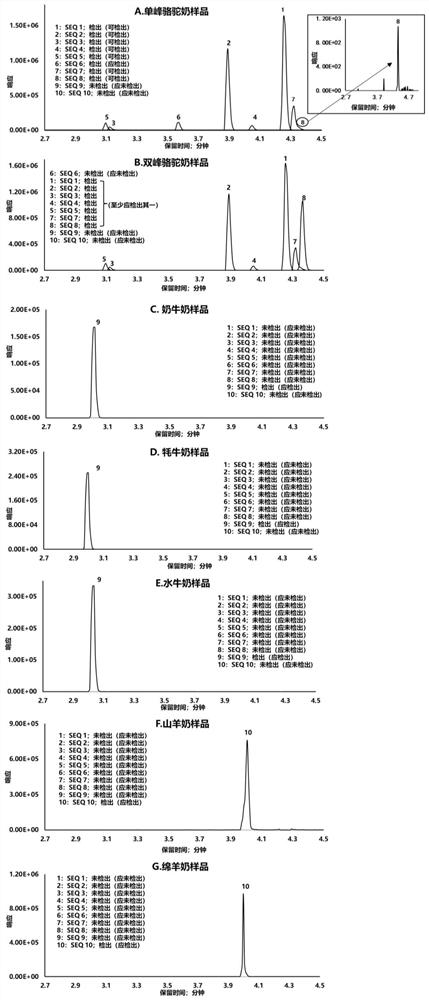 Camel milk characteristic peptide fragment combination and identification method