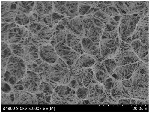 Titanium-based tin antimony oxide electrode modified by titanium dioxide network structure and preparation method thereof