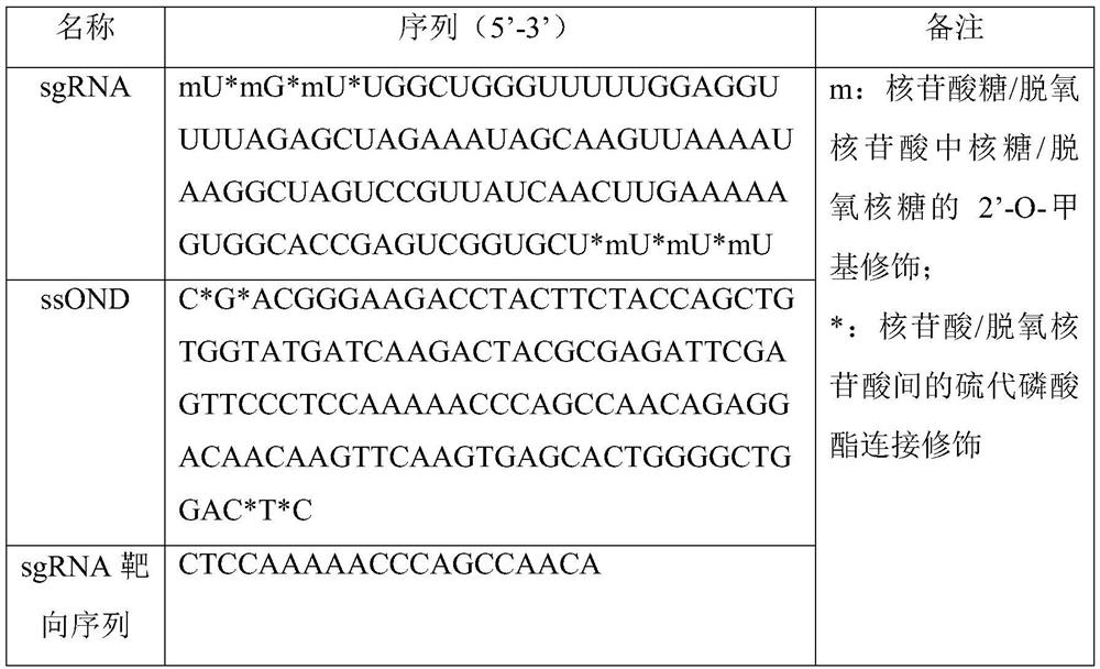 A reagent for editing dnmt1 gene by CRISPR-Cas9 site-directed mutagenesis and its application