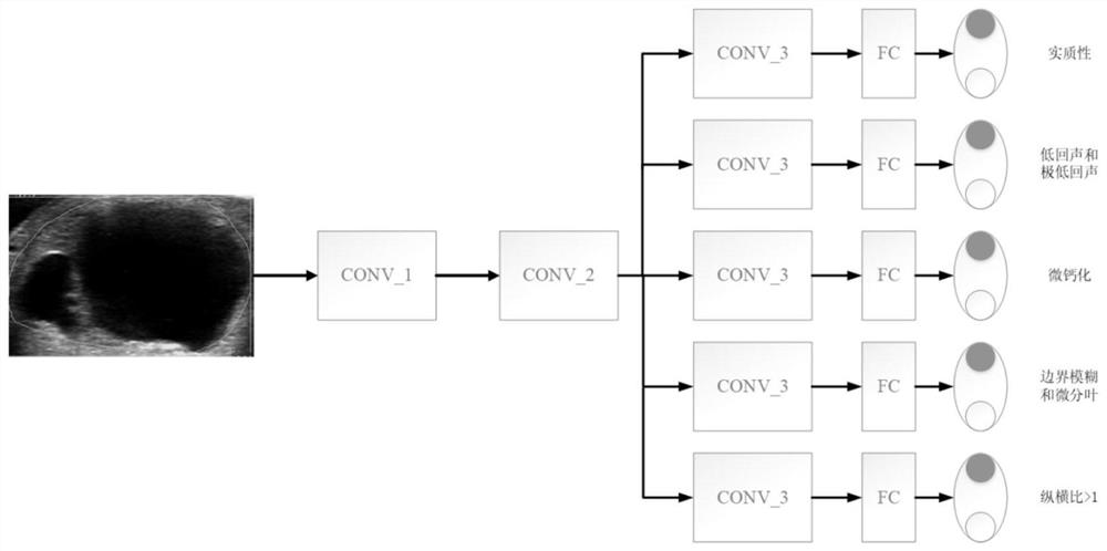 An intelligent system for automatic segmentation and grading of thyroid nodules