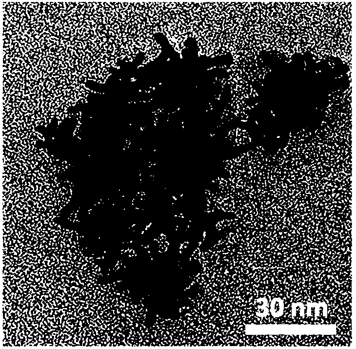 A dendritic gold-platinum bimetallic nanoparticle and its preparation method and application