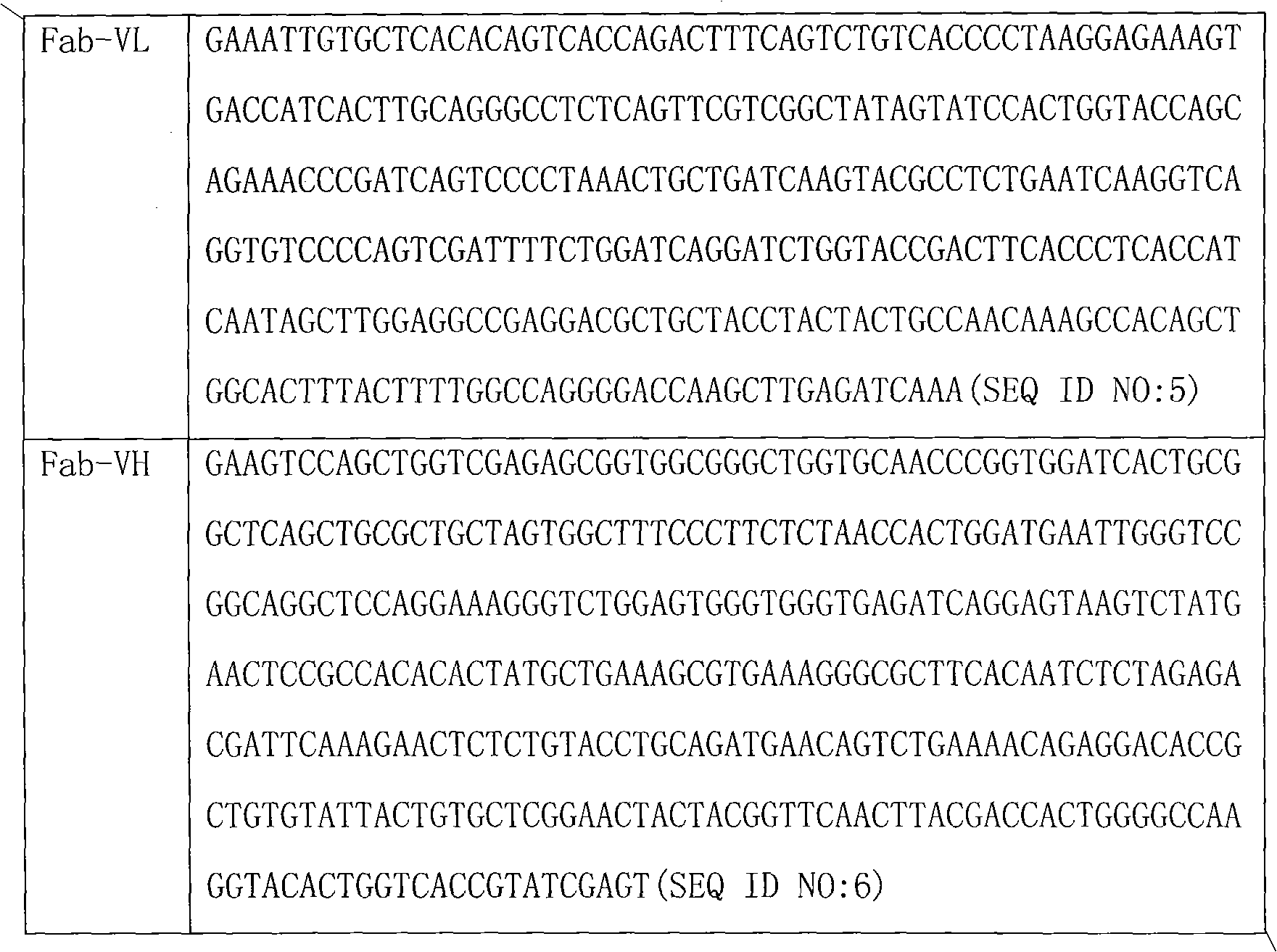 Fully human TNFalpha-Fab antibody and its PEG antibody