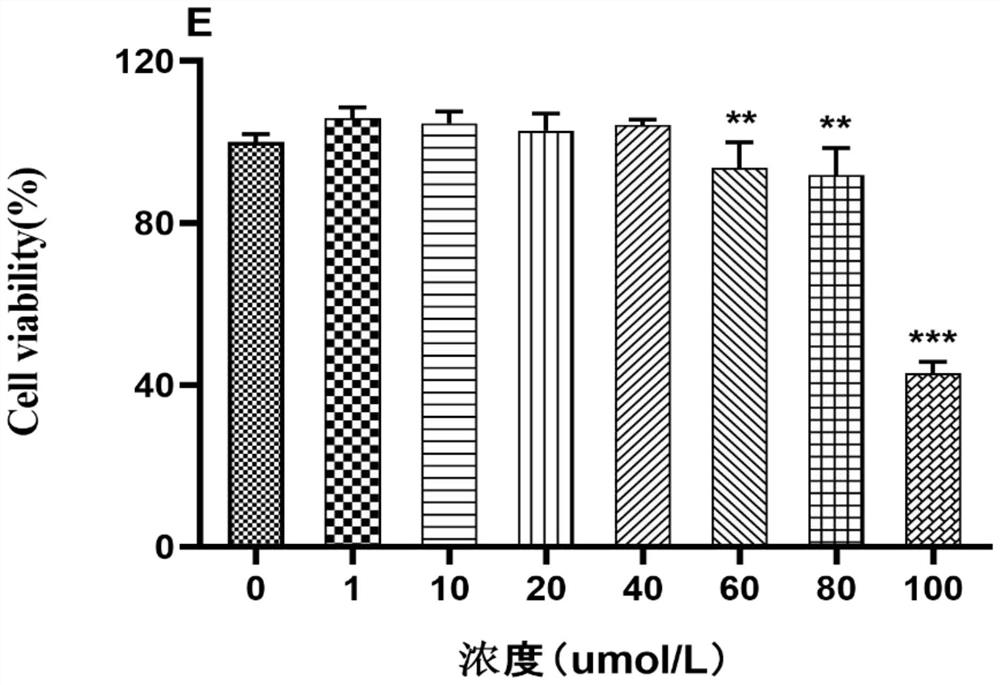 1, 7-diphenyl-4-heptene-3-ketone separated from galangal and application of 1, 7-diphenyl-4-heptene-3-ketone