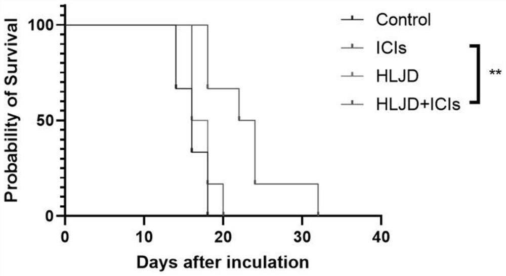 Application of coptis chinensis detoxification decoction in preparation of sensitizer for tumor immune checkpoint blocking therapy