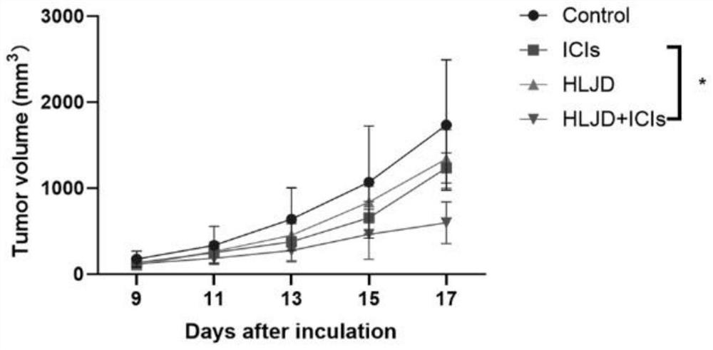 Application of coptis chinensis detoxification decoction in preparation of sensitizer for tumor immune checkpoint blocking therapy