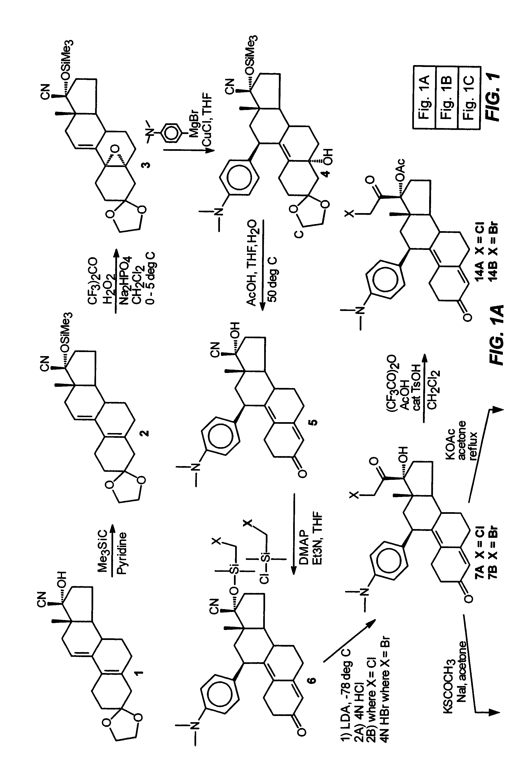 Structural modification of 19-norprogesterone I: 17-α-substituted-11-β-substituted-4-aryl and 21-substituted 19-norpregnadienedione as new antiprogestational agents