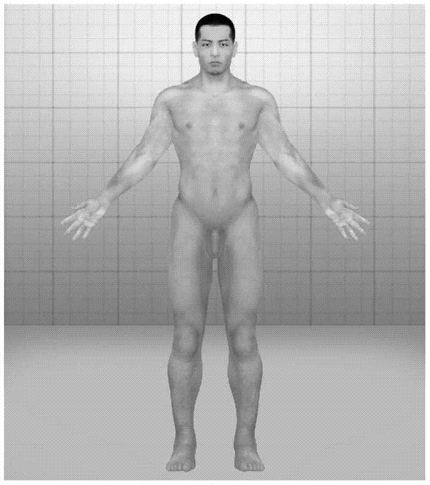 Three-dimensional human body model rotation system and method