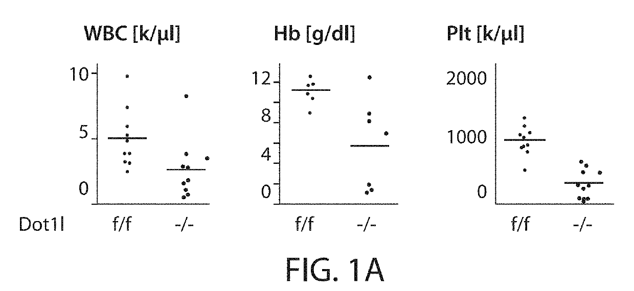 Dot1l inhibition in patients with mn1-high aml