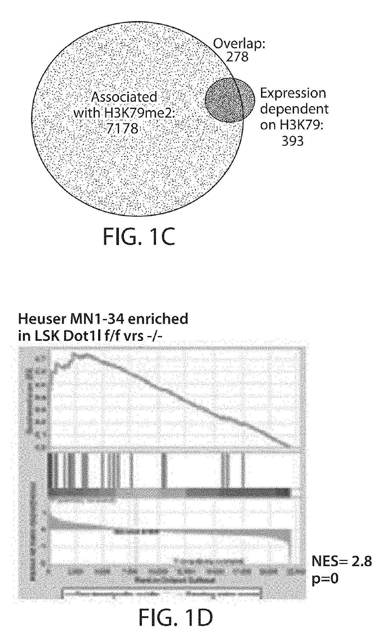 Dot1l inhibition in patients with mn1-high aml