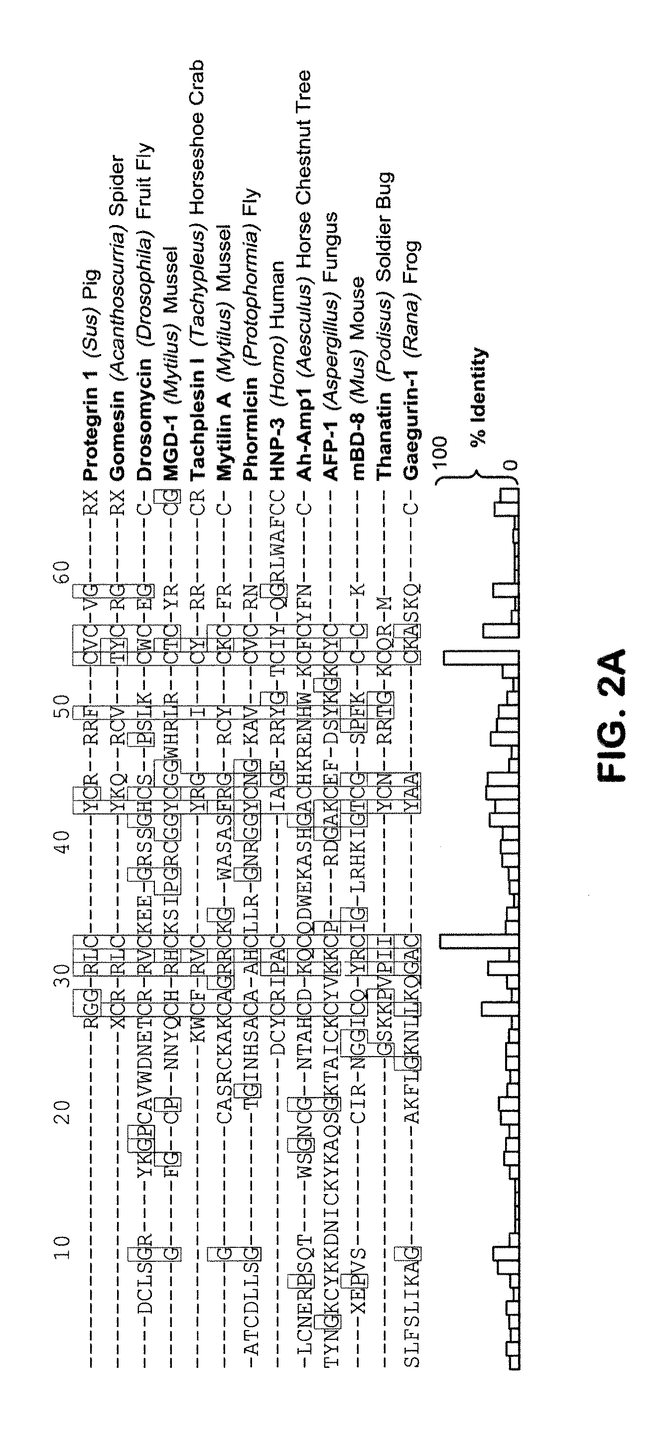 Antimicrobial kinocidin compositions and methods of use