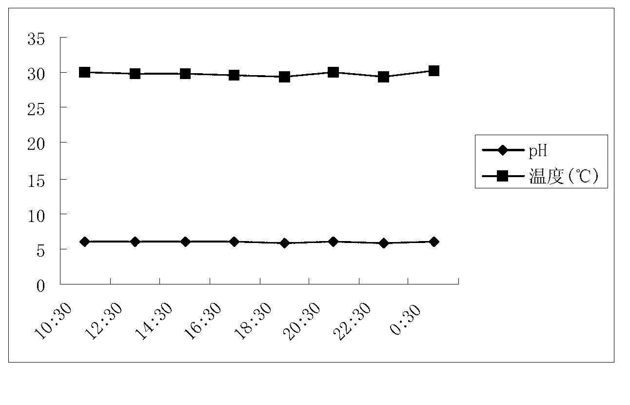 Method for industrially producing grouper growth hormone recombination gene protein