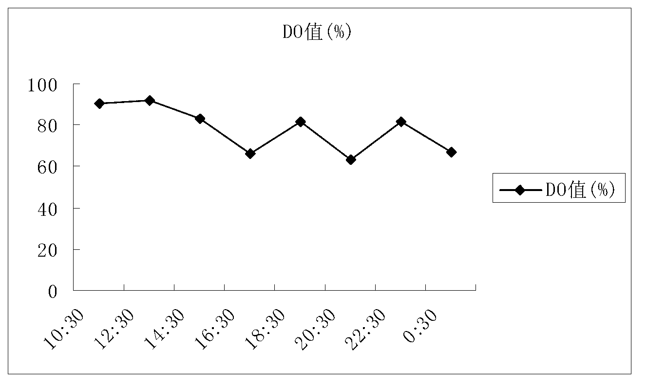 Method for industrially producing grouper growth hormone recombination gene protein