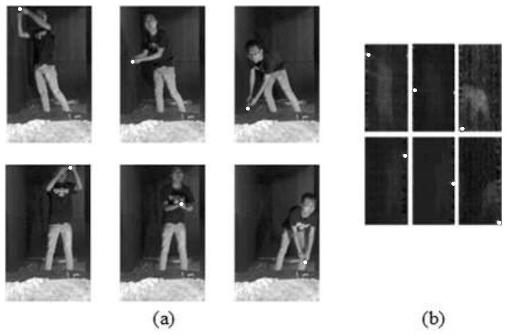 A Registration Method of Passive Millimeter Wave Image and Visible Light Image in Human Body Security Inspection