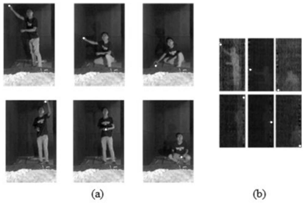 A Registration Method of Passive Millimeter Wave Image and Visible Light Image in Human Body Security Inspection