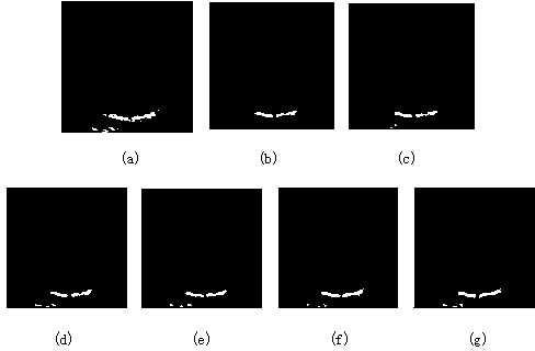 Method for fractional order original duality for image noise elimination