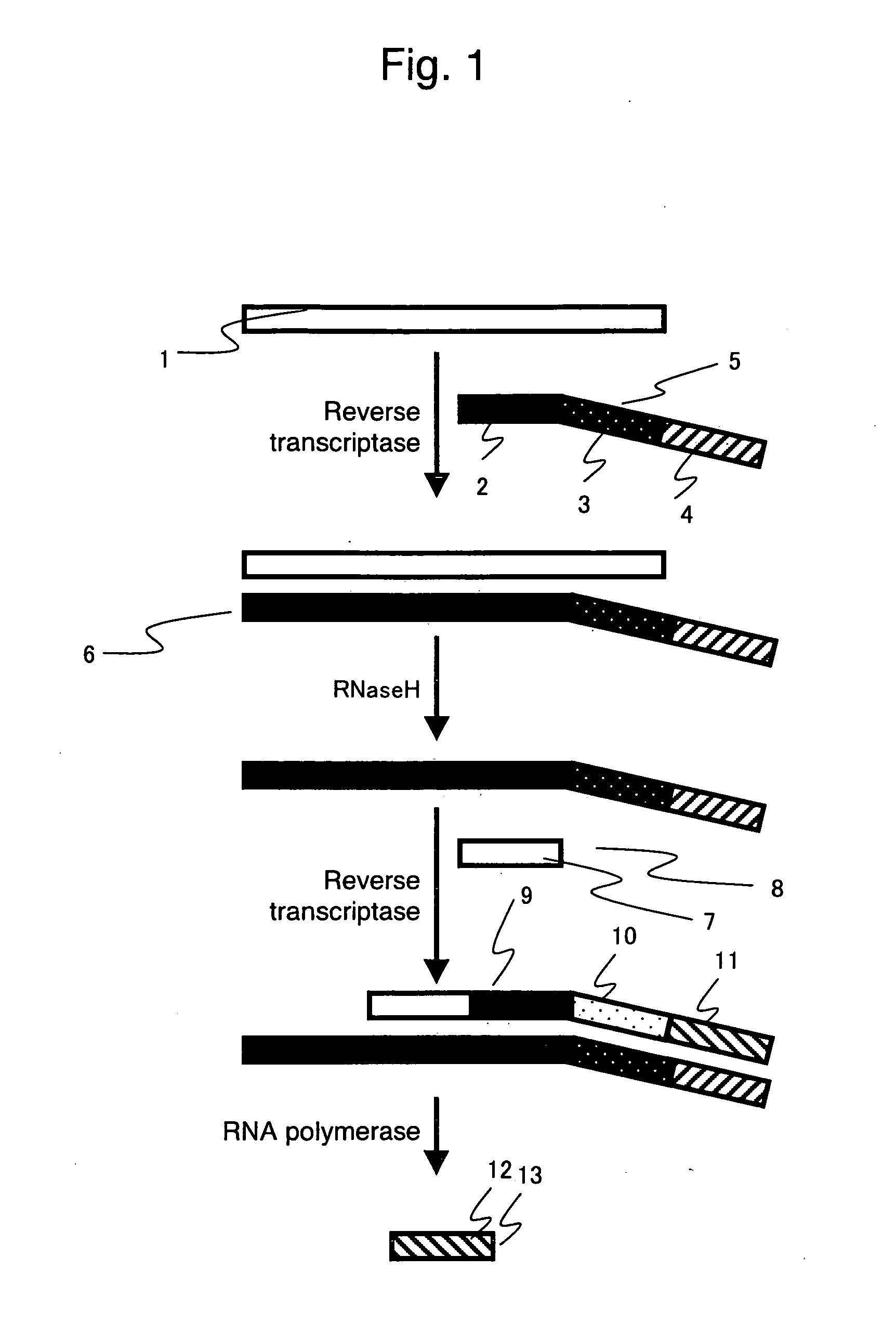 Nucleic acid detection method