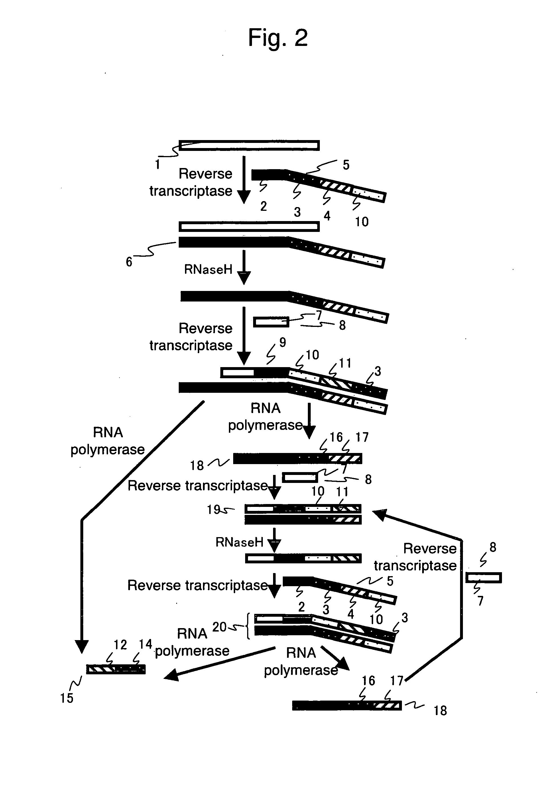 Nucleic acid detection method