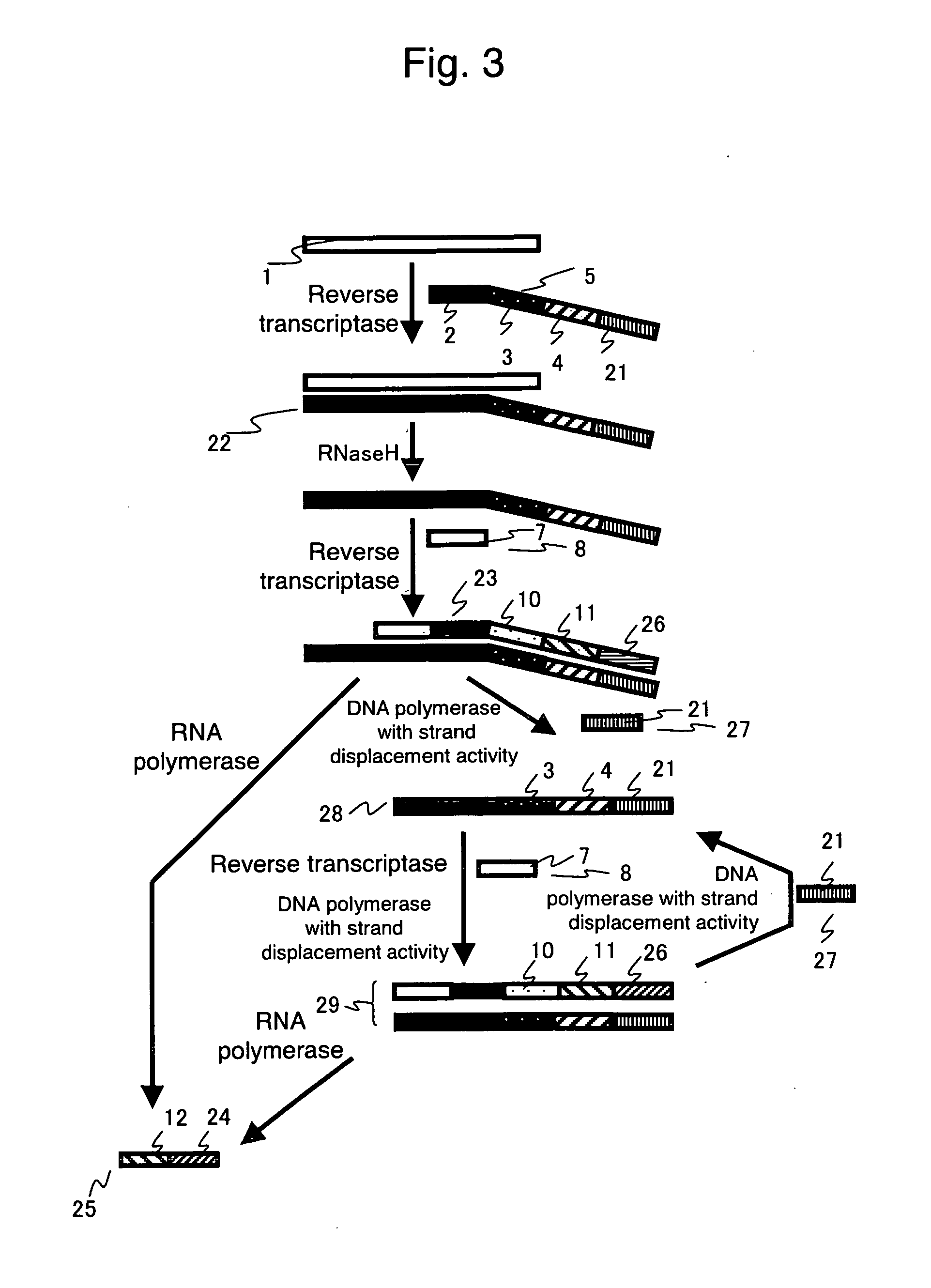 Nucleic acid detection method