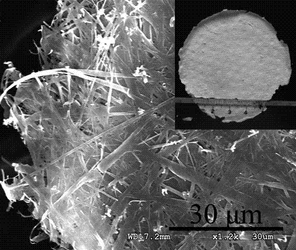 Preparation method of porous ZnO and ZnO/Ag nanometer free-standing film