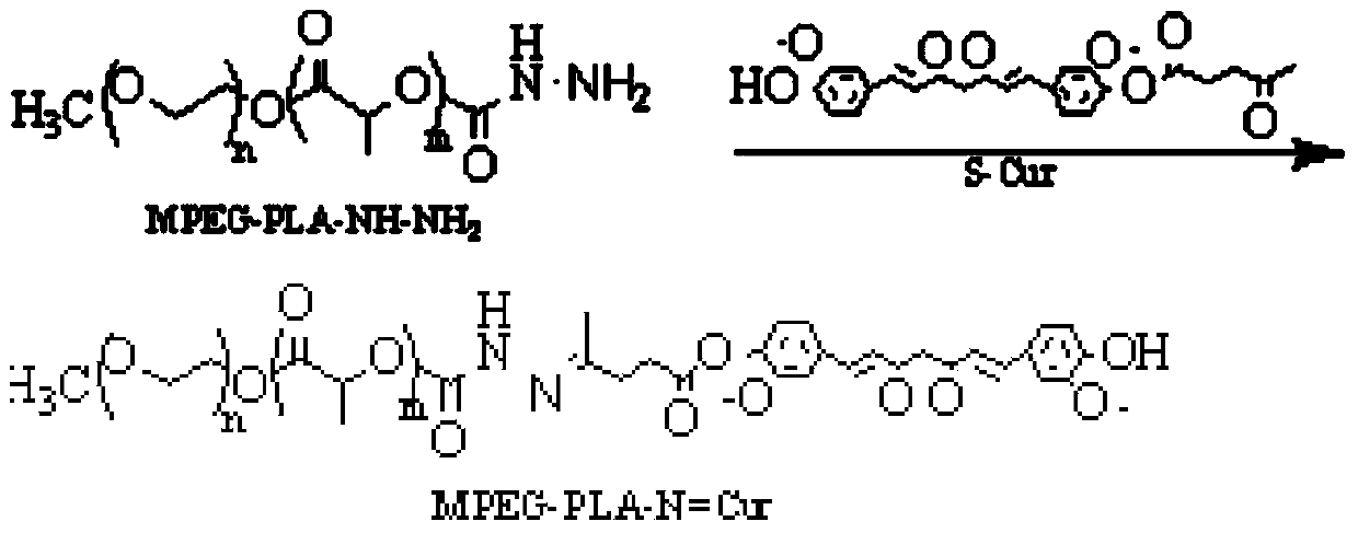 Preparation method of pH value-sensitive curcumin-loading micelle (single chain) precursor