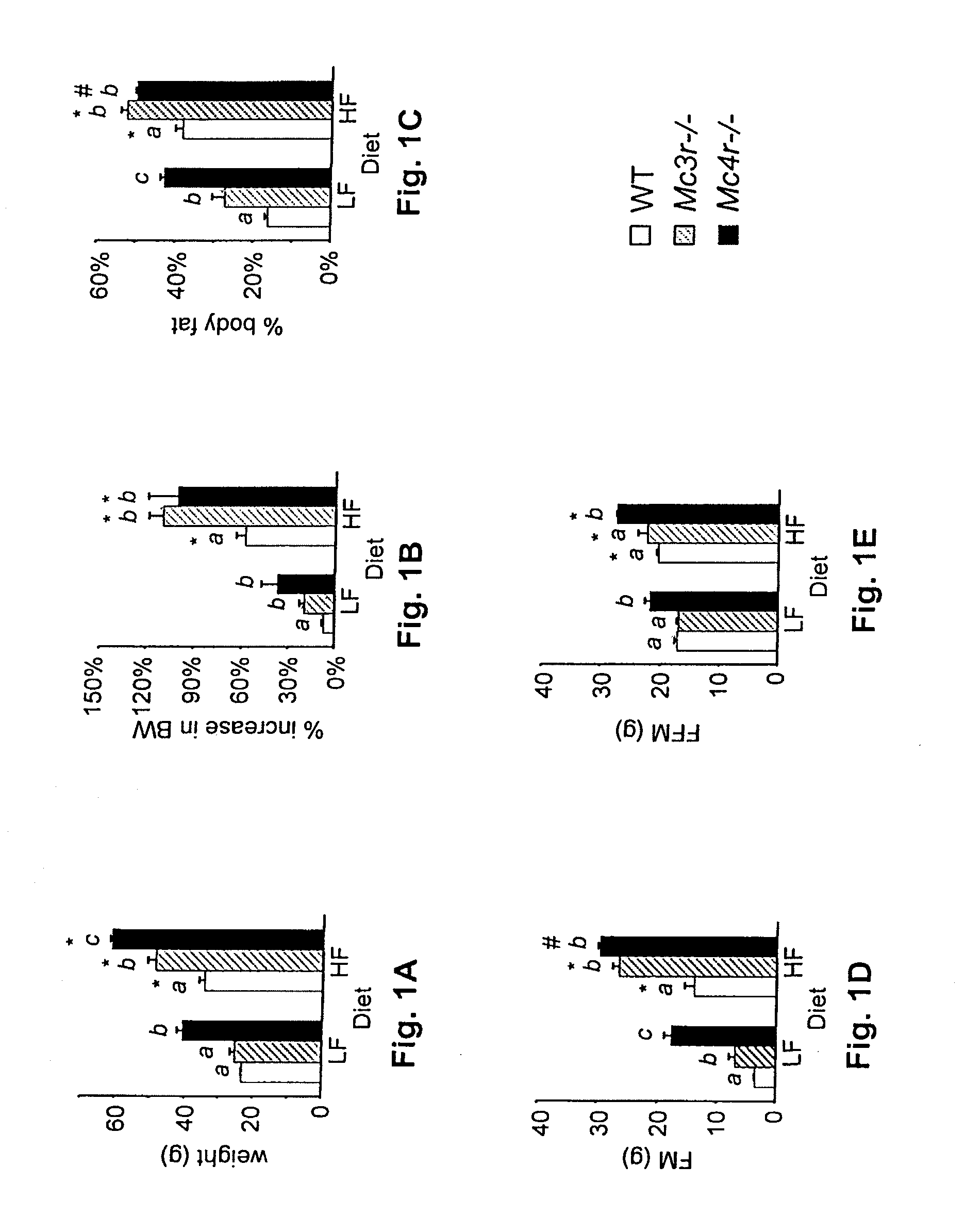 Novel peptide involved in energy homeostasis