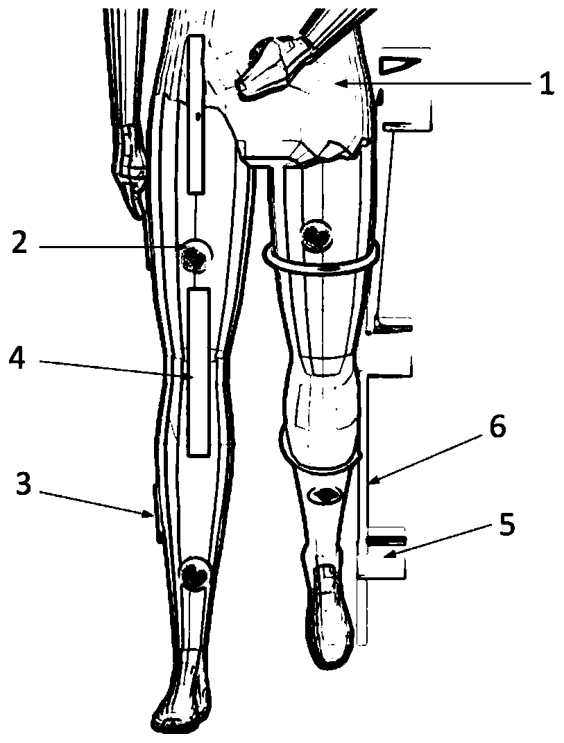 A kind of active lower limbs training system and operation method thereof