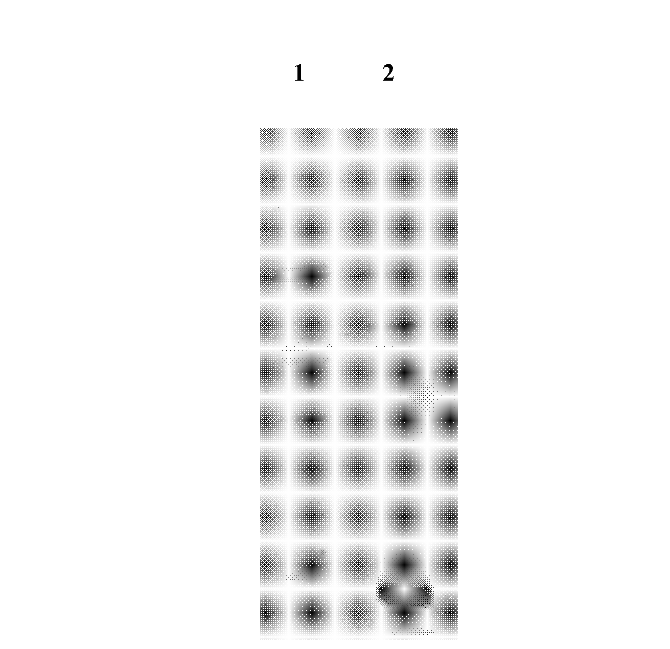 Method for preparing recombinant human IgE receptor protein and application of recombinant human IgE receptor protein