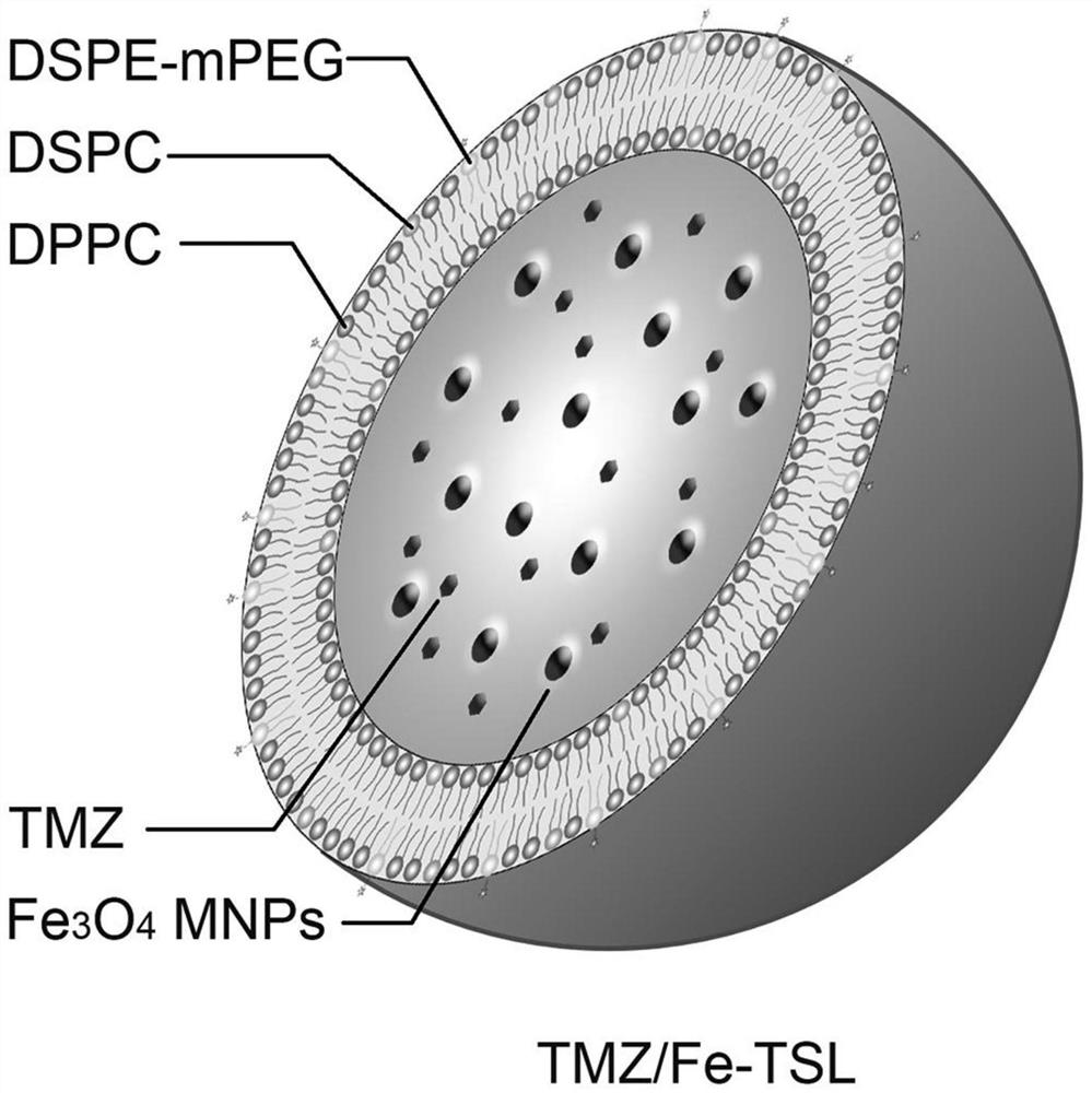 A kind of temozolomide magnetic thermosensitive liposome and preparation method thereof