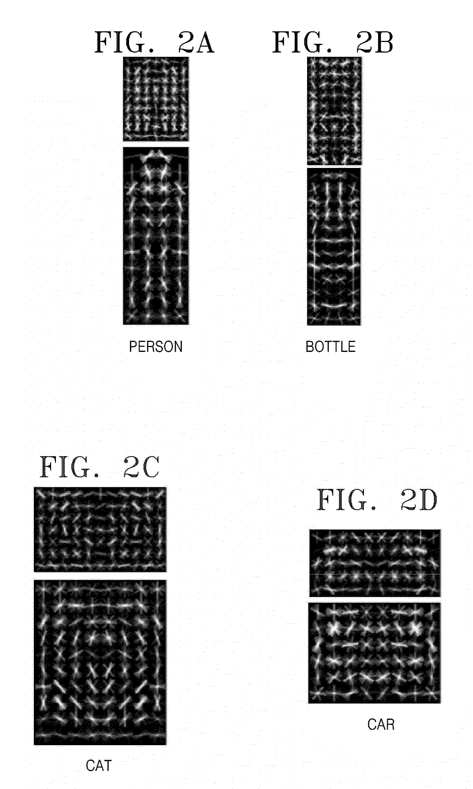 Apparatus and method for extracting object