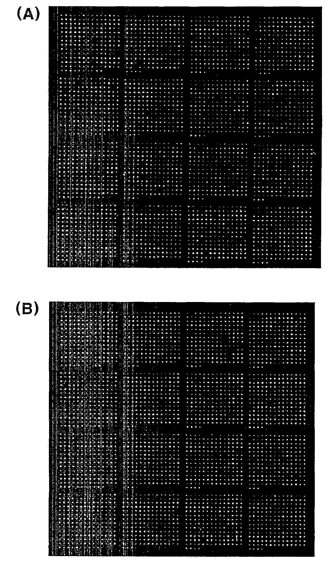 Nucleic acid chip for obtaining bind profile of single strand nucleic acid and unknown biomolecule, manufacturing method thereof and analysis method of unknown biomolecule using nucleic acid chip