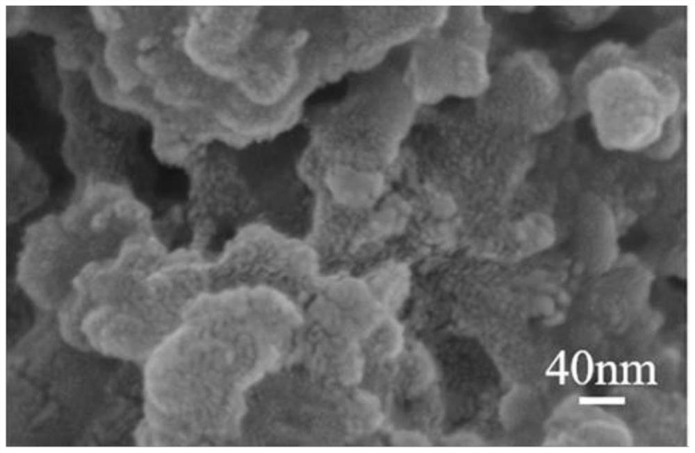 A kind of composite binder for lithium-sulfur battery and preparation method thereof