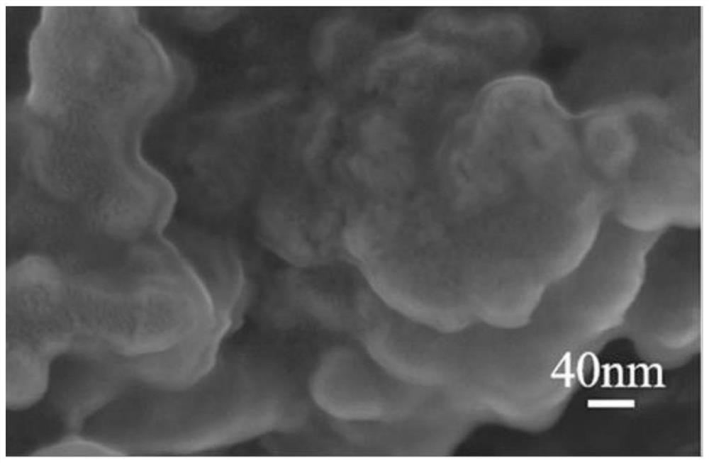 A kind of composite binder for lithium-sulfur battery and preparation method thereof