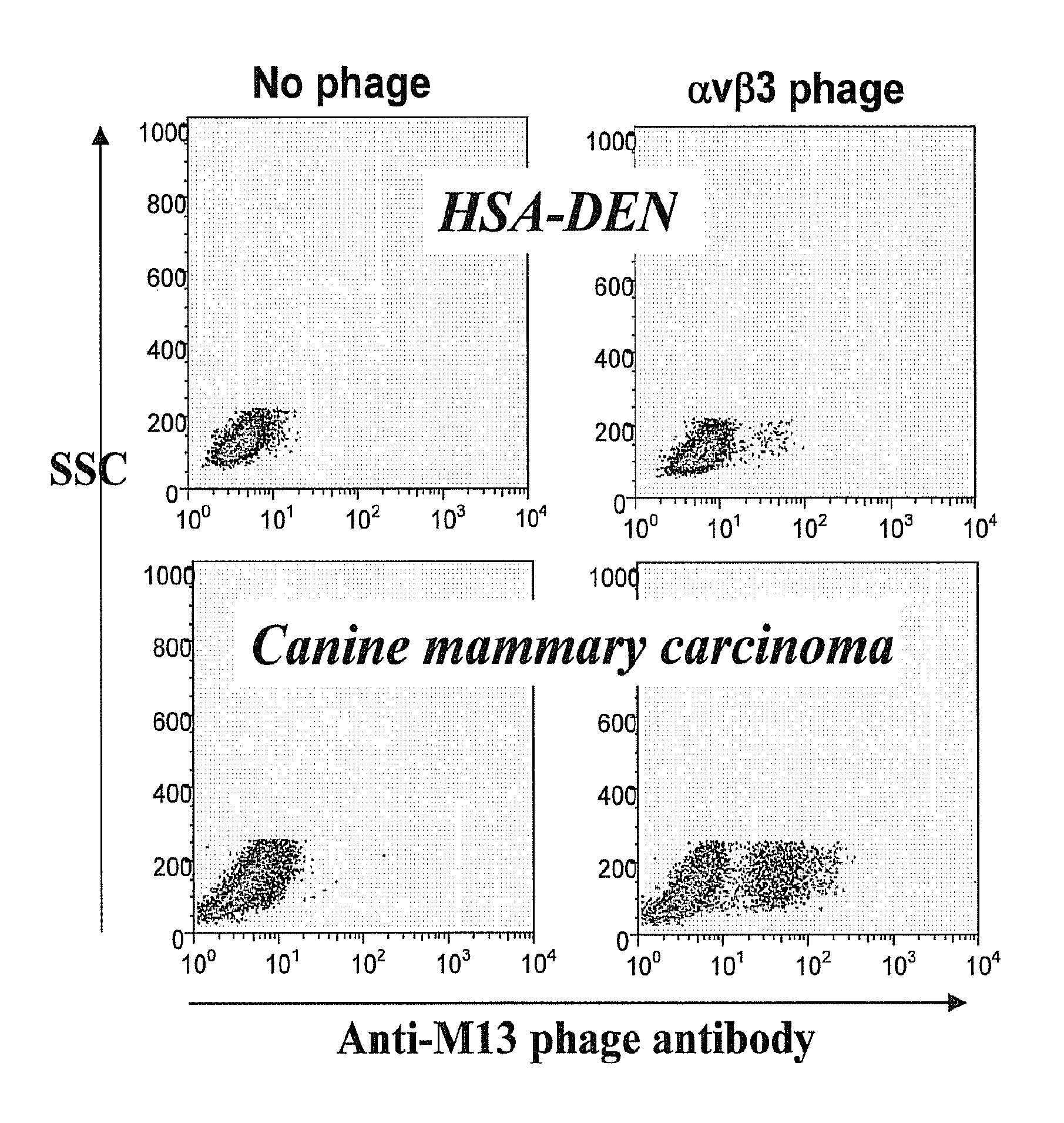 Single chain fragment variable antibody libraries and uses thereof