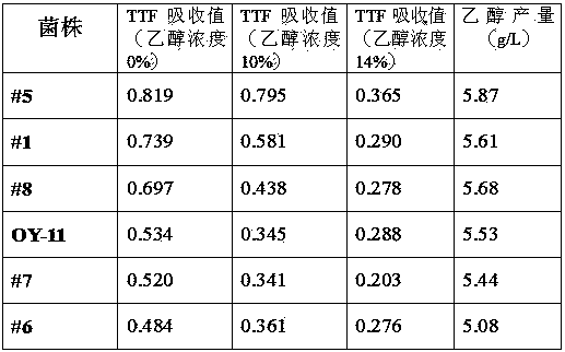 Quantitative high-vitality yeast cell screening method based on TTC (2,3,5-triphenyltetrazolium chloride) staining method