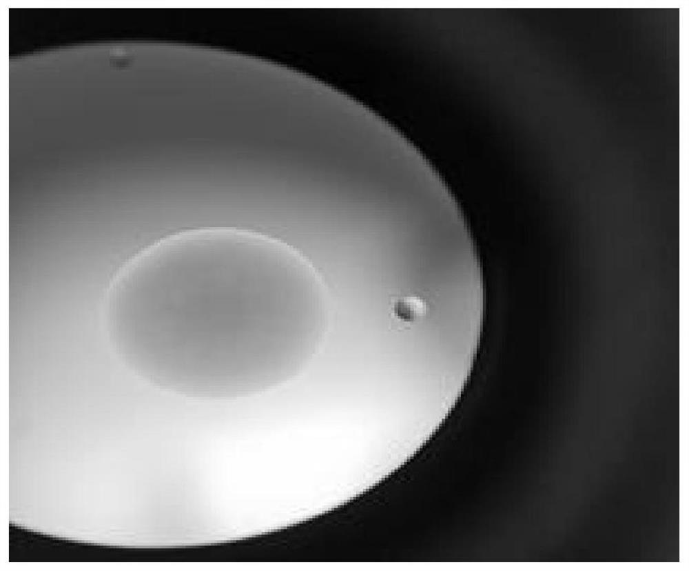 Temperature-resistant and acid-alkali-resistant strain, screening method, microbial inoculum and application