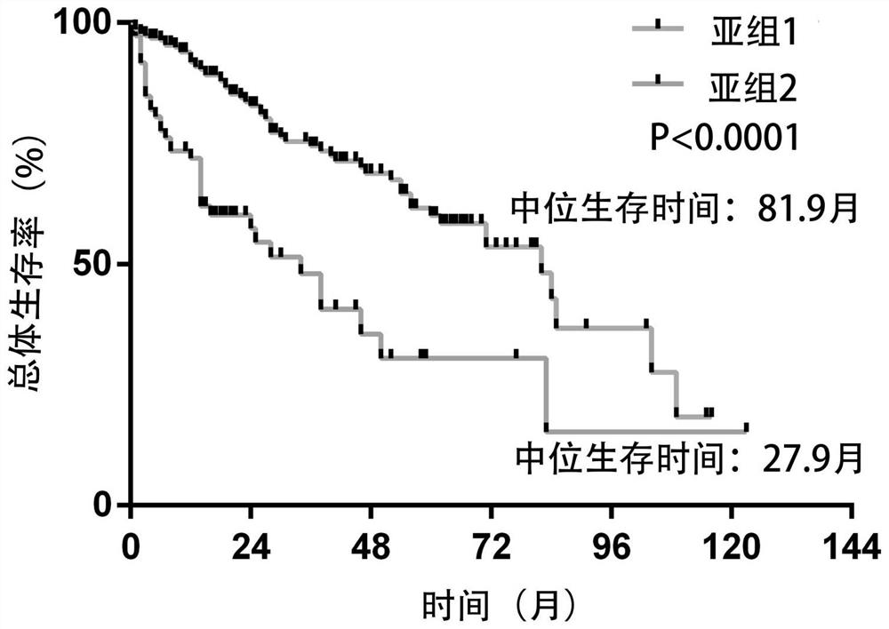 A gene detection kit and application for prognostic risk assessment of patients with liver cancer