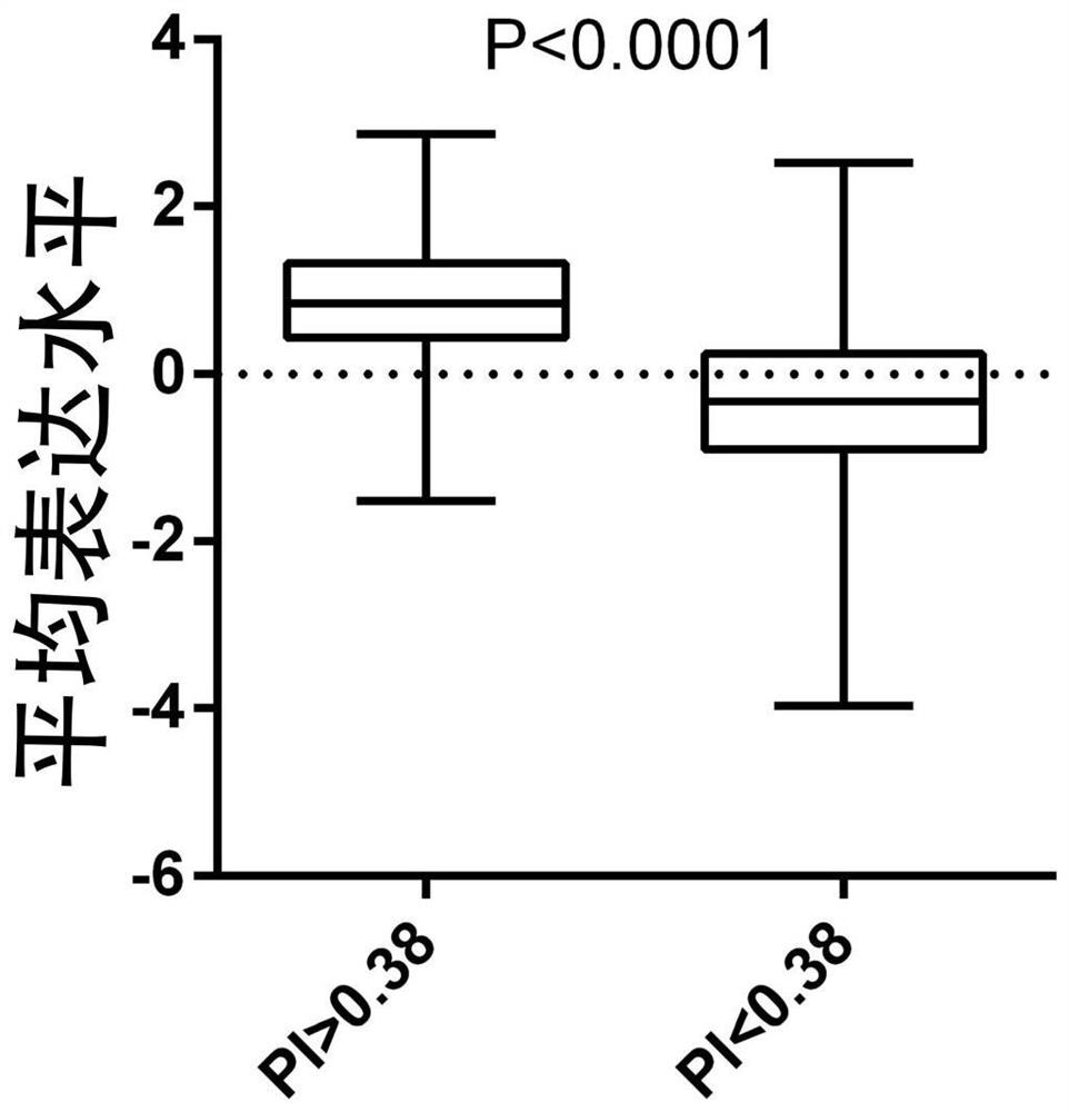 A gene detection kit and application for prognostic risk assessment of patients with liver cancer