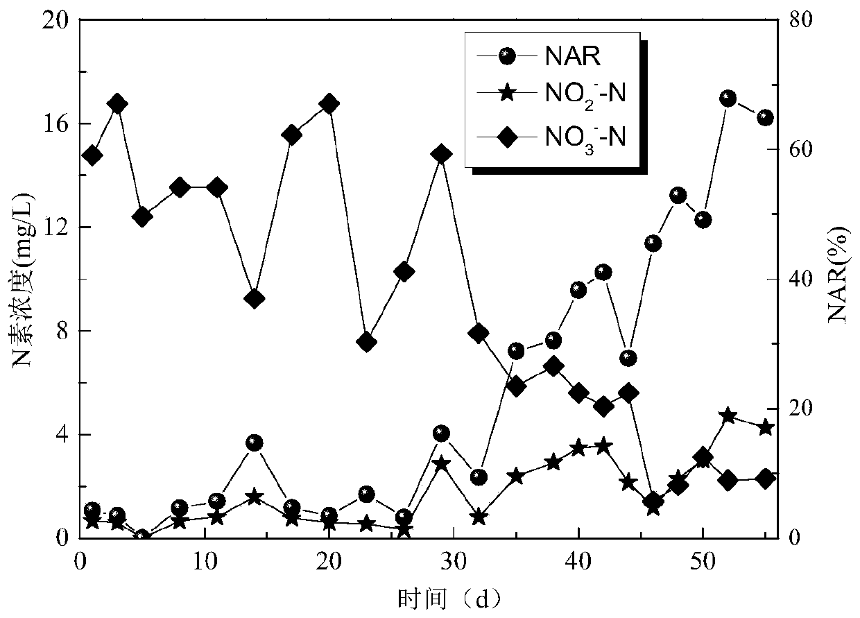 Anaerobic ammonia oxidation autotrophic nitrogen-removal system for municipal sewage and method thereof