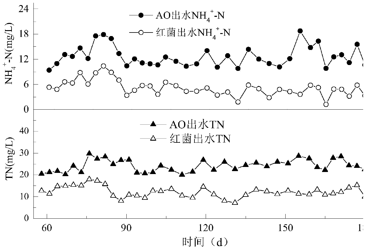 Anaerobic ammonia oxidation autotrophic nitrogen-removal system for municipal sewage and method thereof